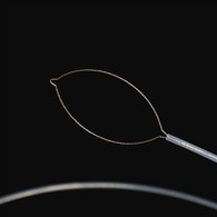 የተጣራ ዓይነት የውጭ አካል ኃይል